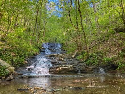 dawson forest dawsonville ga.